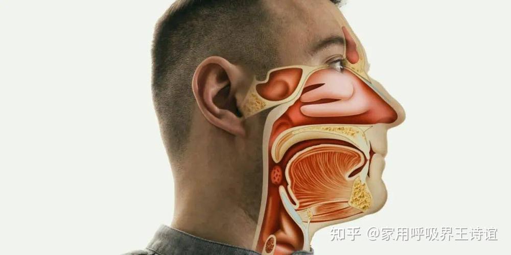 睡眠打呼噜的原因及治疗方法图标