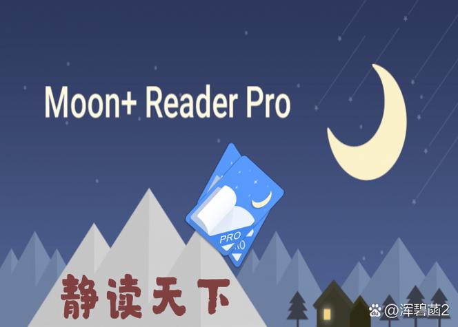 静读天下专业版 吾爱破解缩略图