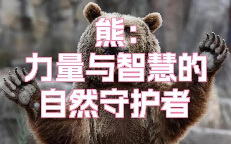 熊分享软件库密码是多少游戏截图