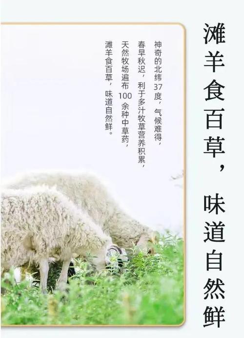 无忧牧场简介缩略图