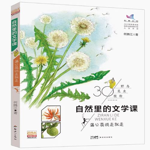 蒲公英课外阅读