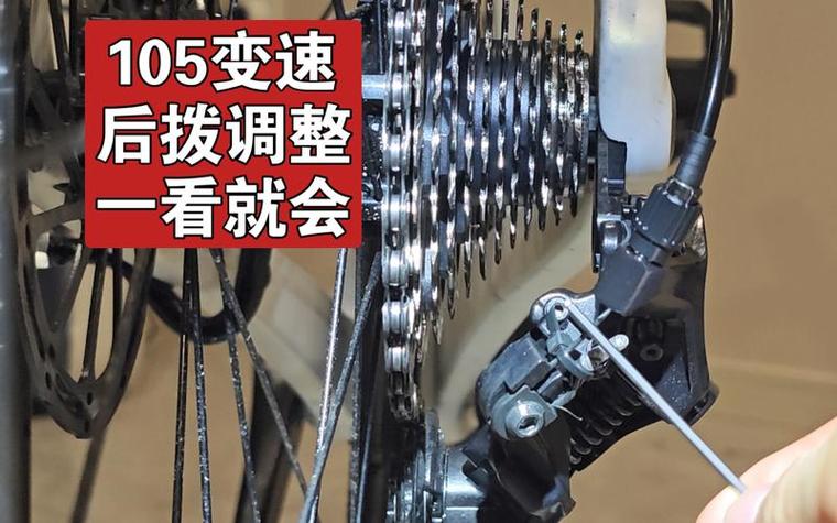 后拨变速器调整方法游戏截图