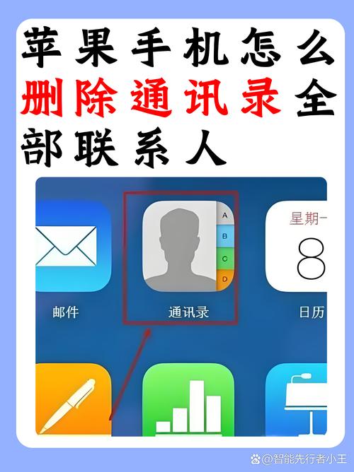如何快速删除所有电话联系人