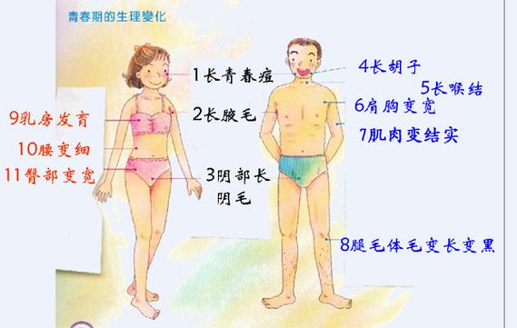 台湾剧《青春期》缩略图