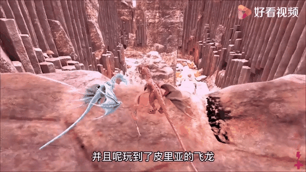 方舟生存进化成长为成年代码缩略图