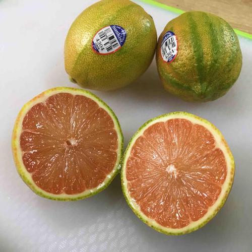 斑马果园领免费水果缩略图