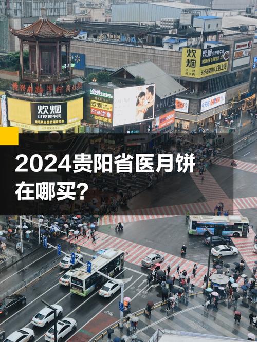 贵阳省医在哪里