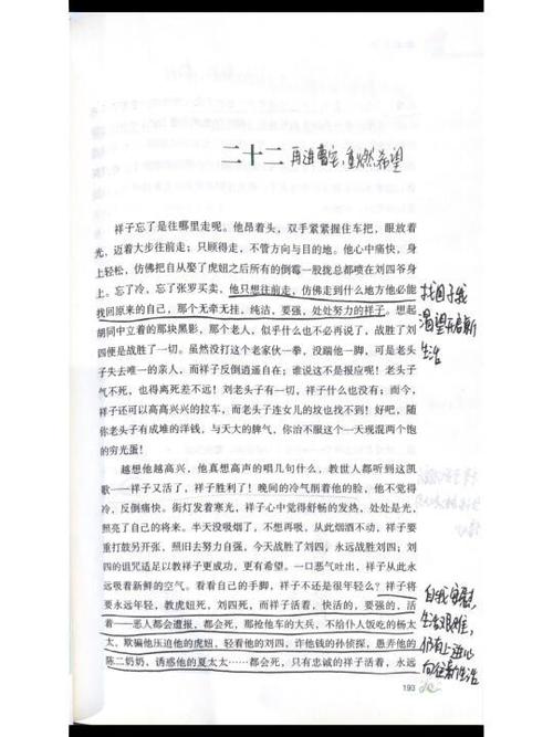骆驼祥子文章缩略图