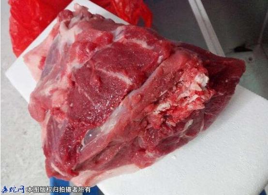 野猪肉腥味和骚味很重吗游戏截图