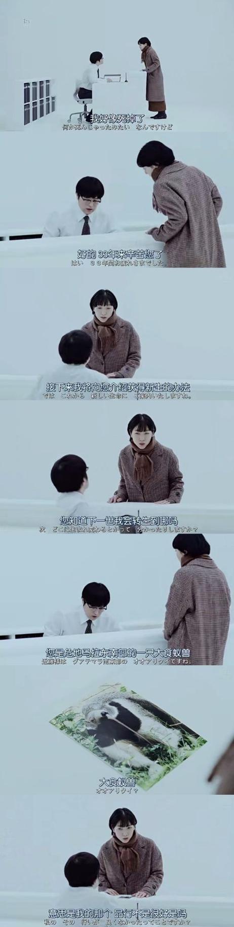 恢复主题