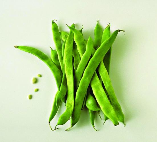 找不到是哪关抵押的金豆荚