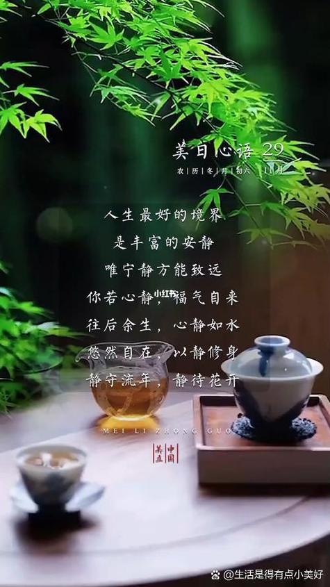 人生感悟100篇游戏截图