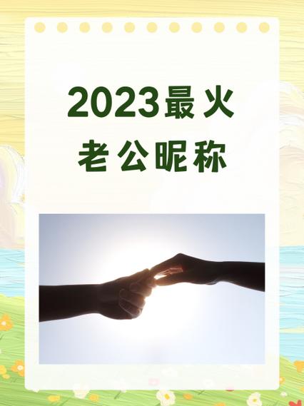 宇宙无敌我男人的情侣