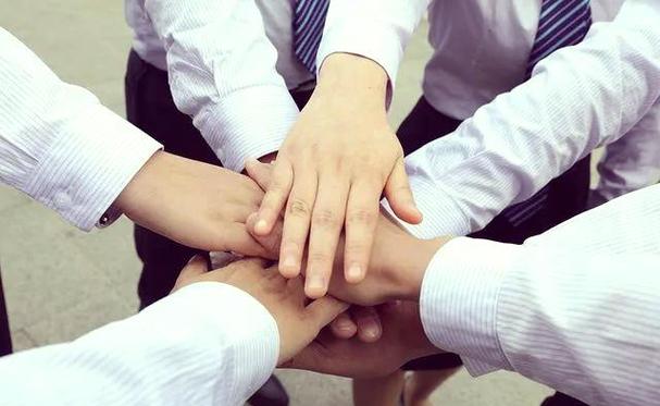 ceo在团队中的作用