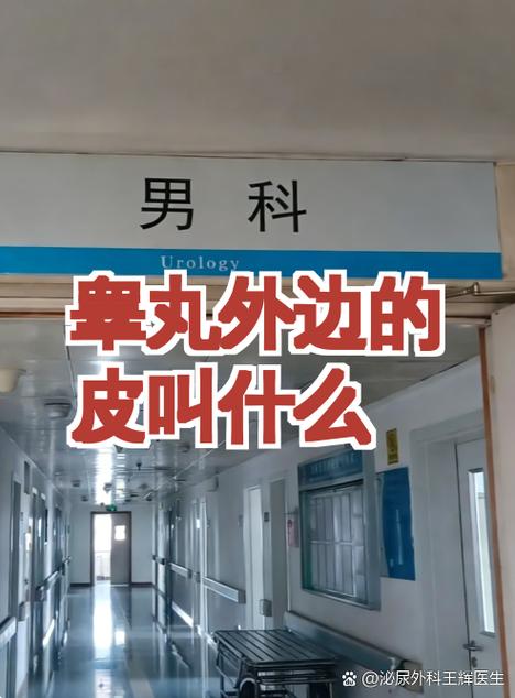 蛋蛋那个皮叫什么游戏截图