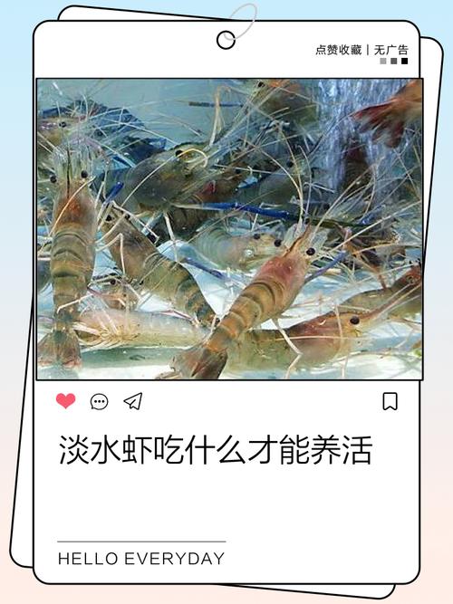 农场世界养虾怎么玩缩略图