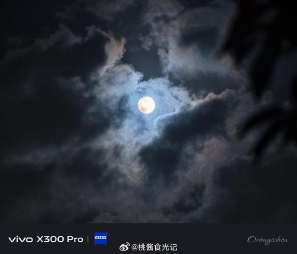 vivo专业模式拍月亮图标