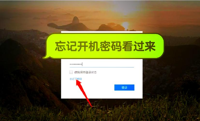 支付宝忘记密码怎么修改