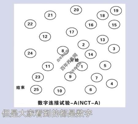 一串数字的网站