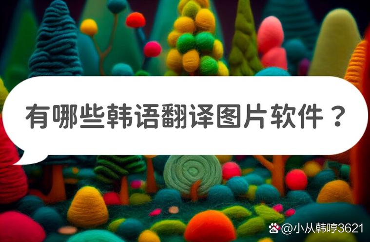 never软件韩语转中文
