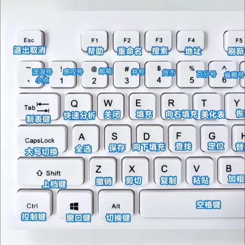 键盘win键和ctrl都不能用了