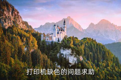 喷墨打印机缺色缩略图