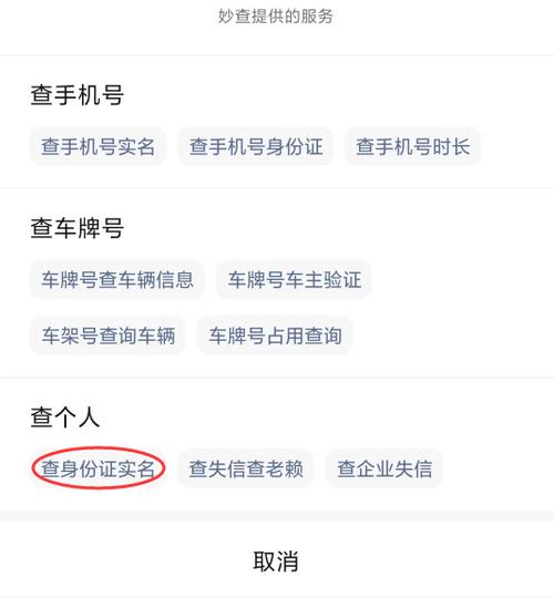 输身份证查名下车辆游戏截图