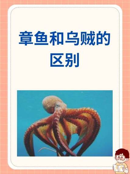 墨鱼和章鱼的区别图标