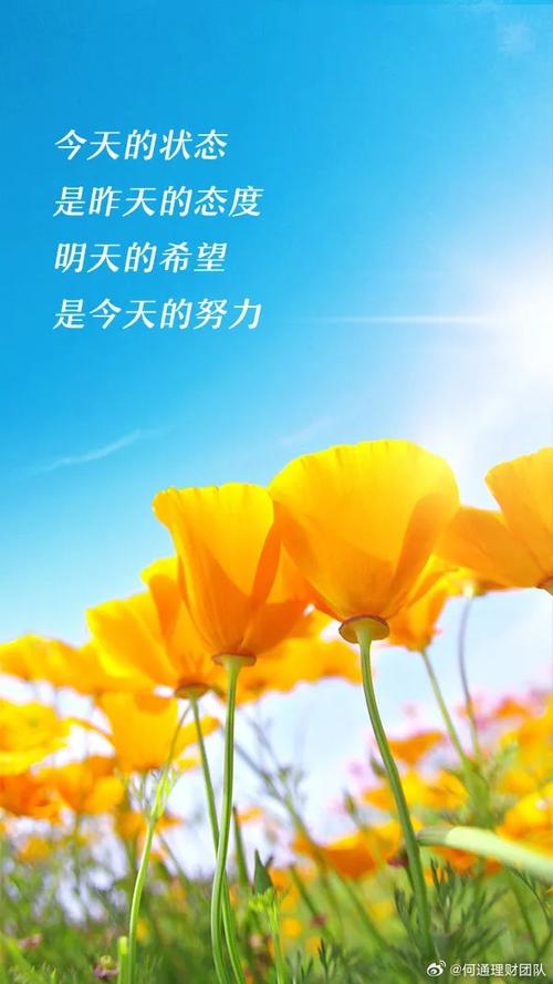 励志语录100句缩略图