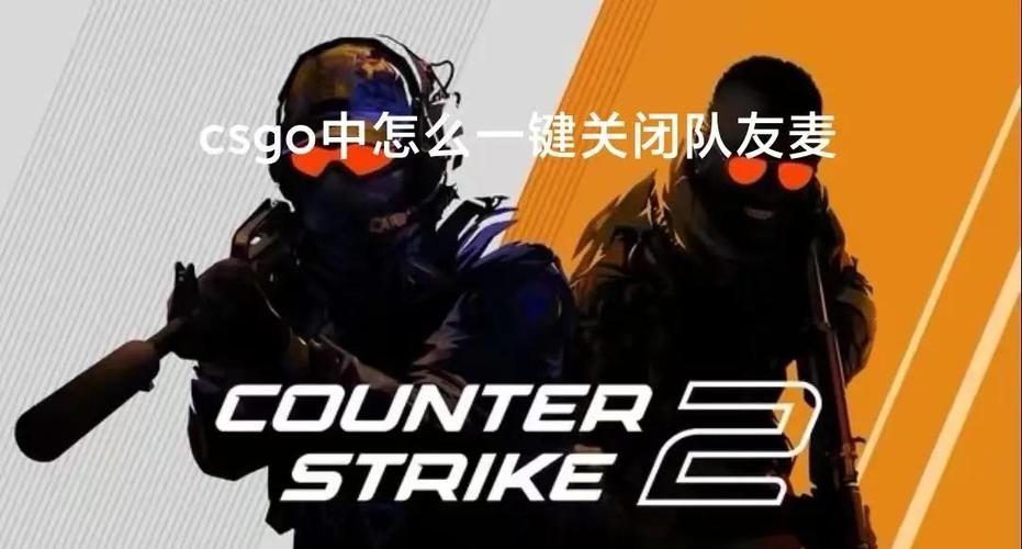 csgo怎么屏蔽队友语音图标