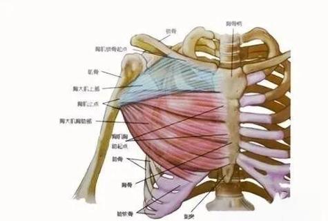 胸腰上墙