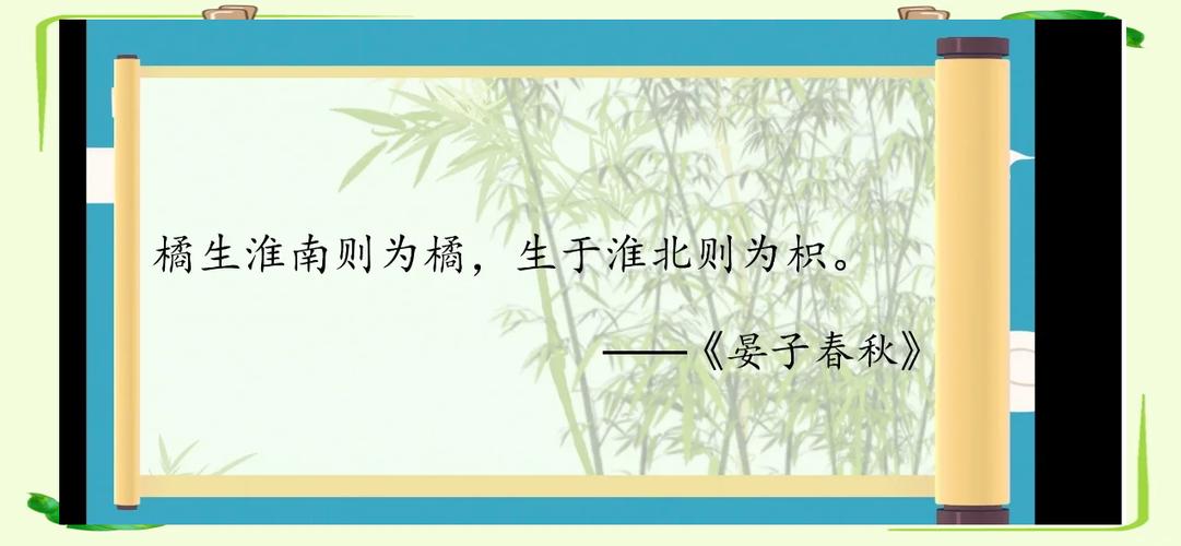 朋友圈发橘子的文案图标