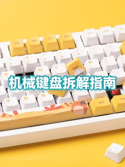 拆机械键盘轴的方法缩略图