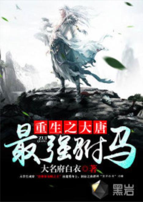 重生之大唐最强驸马缩略图