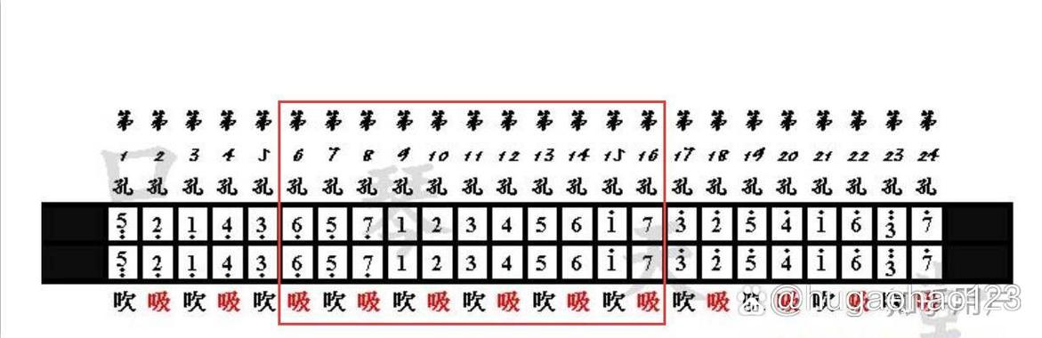 零基础学口琴视频教程缩略图
