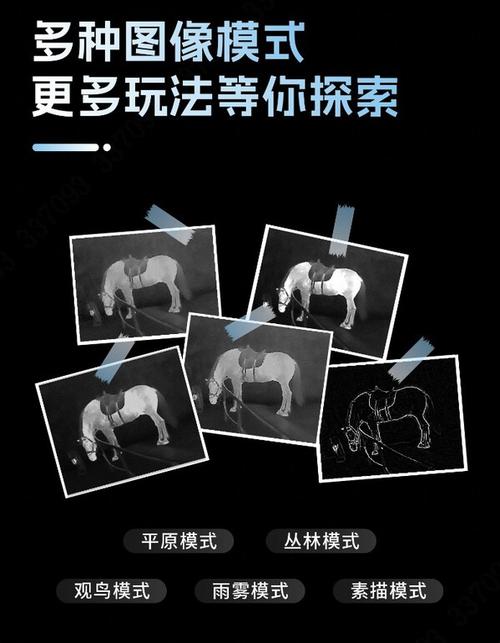 任务管理器只显示自己的用户