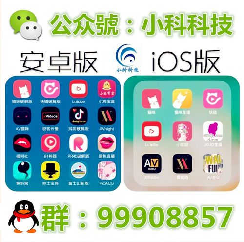 猫咪视频社区app破解版xz缩略图