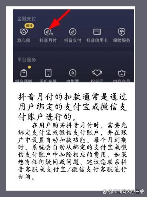 抖音可以绑几个支付宝图标