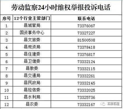 劳动监察大队24小时在线咨询图标
