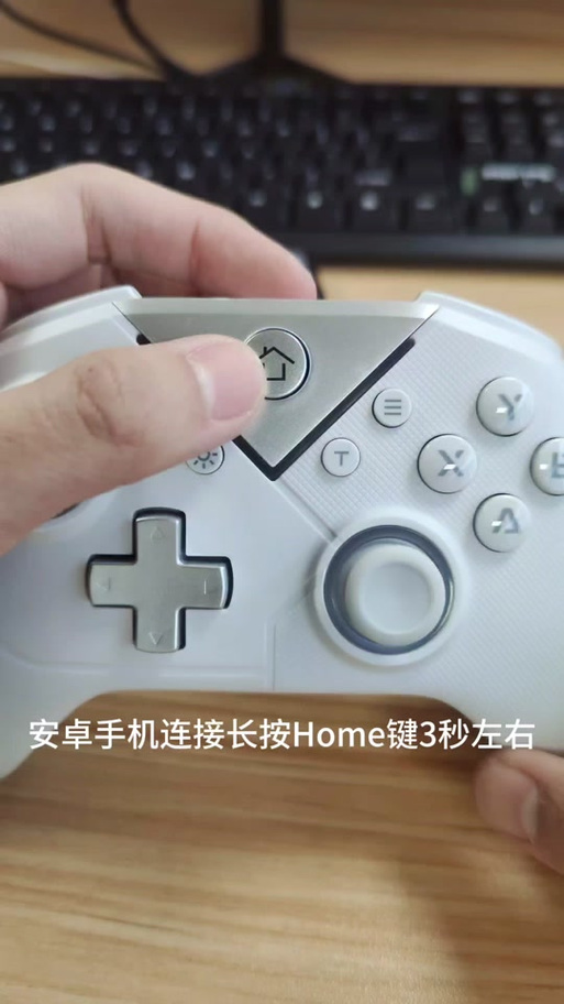 switch手柄连接方法游戏截图
