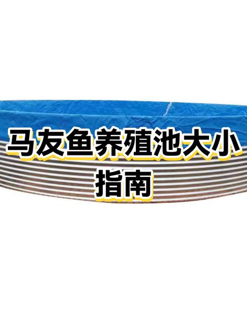 斑马鱼能和孔雀鱼混养吗图标