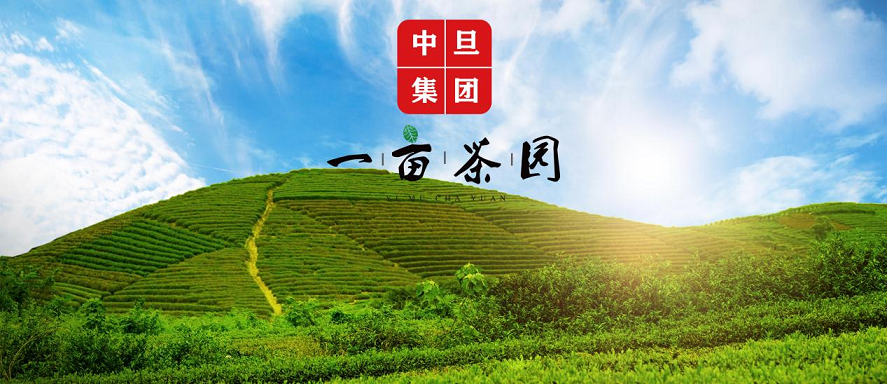 一亩茶园招商图标