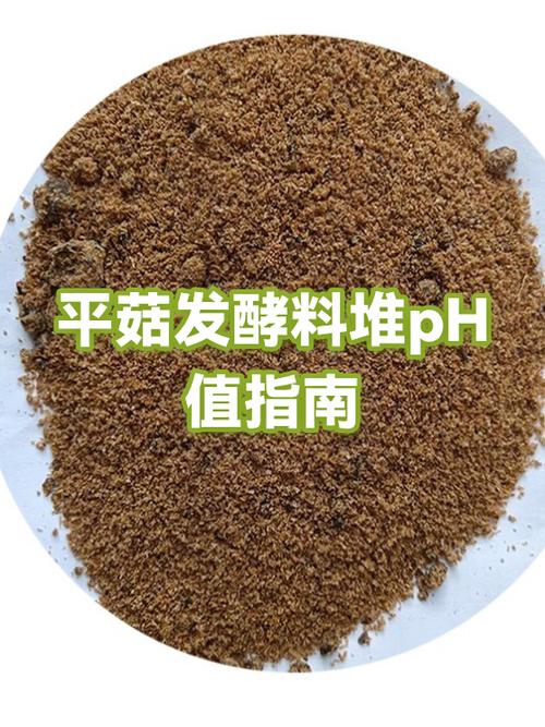平菇刚出菇敢喷水吗