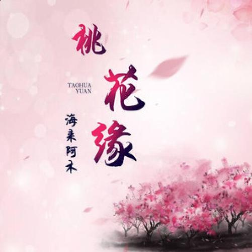 桃花缘交友软件怎样