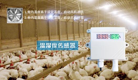 养鸡废水水质