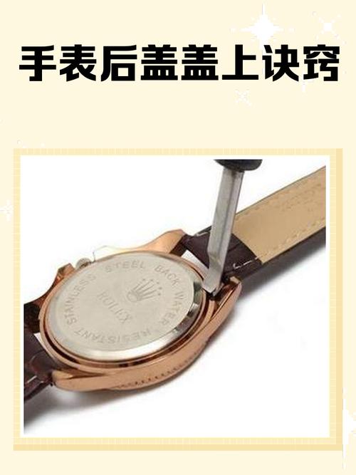 手表后盖如何盖上游戏截图