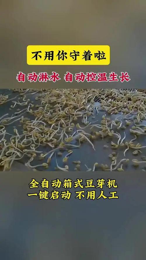 豆芽机使用方法视频图标