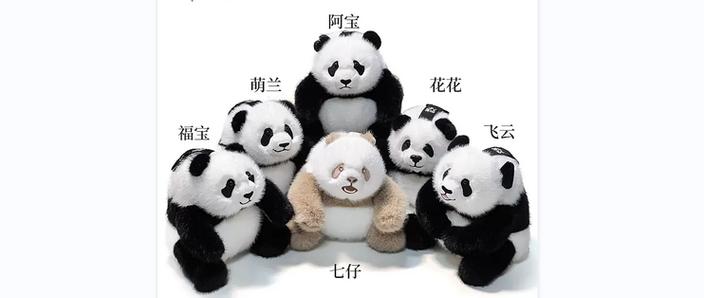熊猫框架7.0缩略图