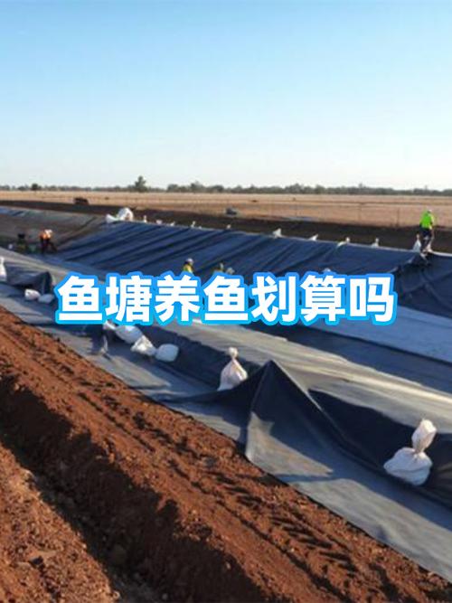 养鱼每亩能赚多少钱缩略图
