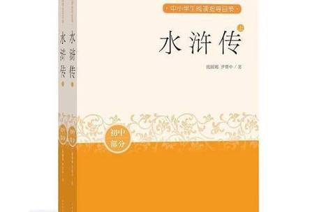 水浒y传小说缩略图
